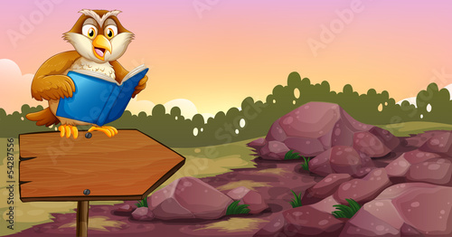 An owl reading a book above a wooden arrow board