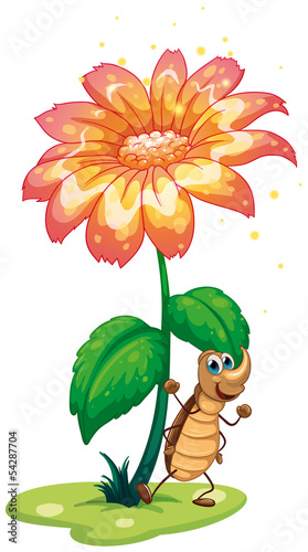 A cockroach under the flower