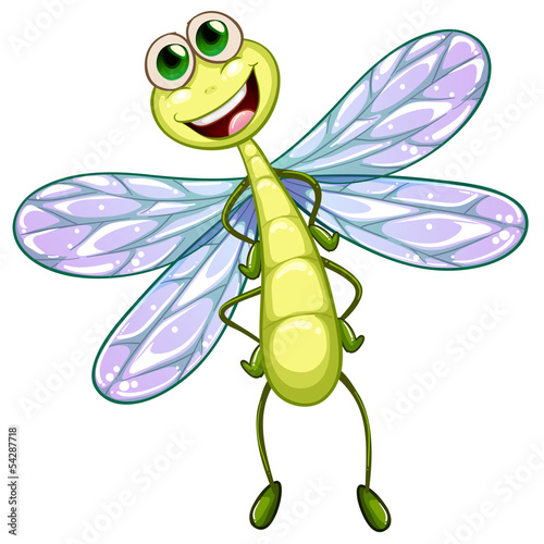 A smiling dragonfly