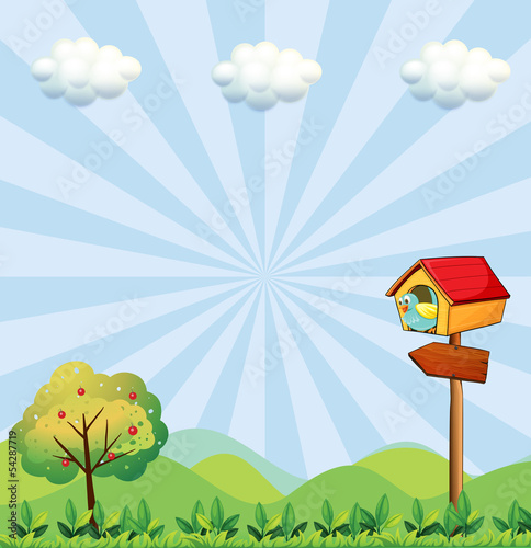 A birdhouse at the hilltop with an arrowboard