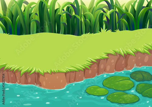 An image of a pond