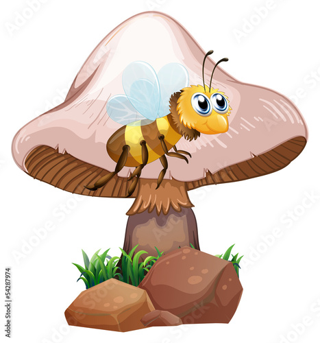 A bee beside the mushroom