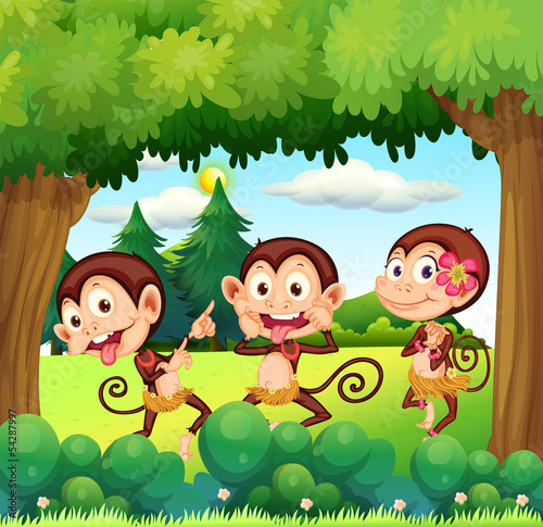 Three monkeys dancing at the forest