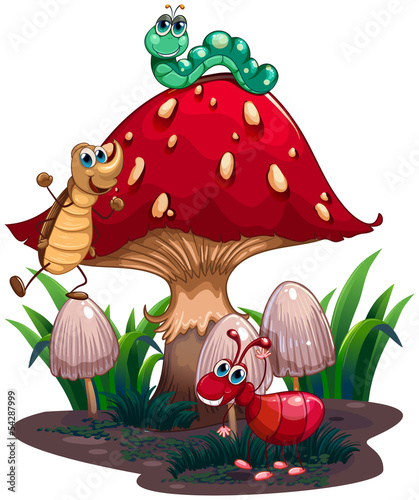A mushroom surrounded with different insects