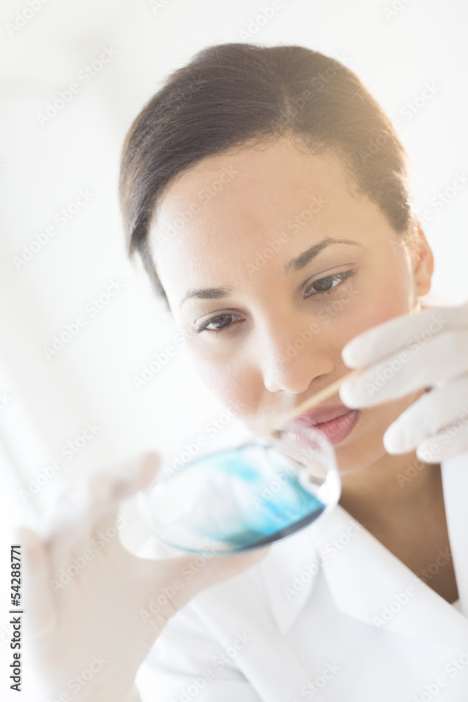 Female Scientist Working On Solution In Laboratory Female Scientist Working On Solution In Laboratory