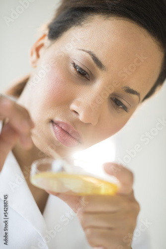 Doctor Analyzing Solution In Petri Dish At Laboratory