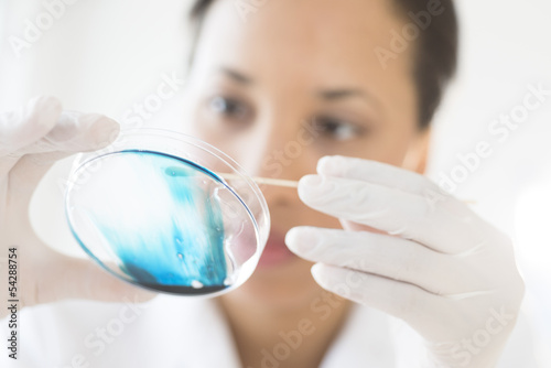 Doctor Analyzing Solution In Petri Dish At Laboratory