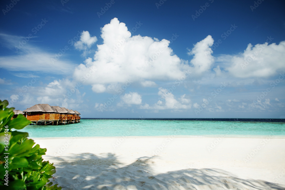 Fototapeta premium tropical beach