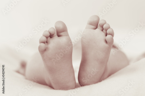baby feet © elitravo