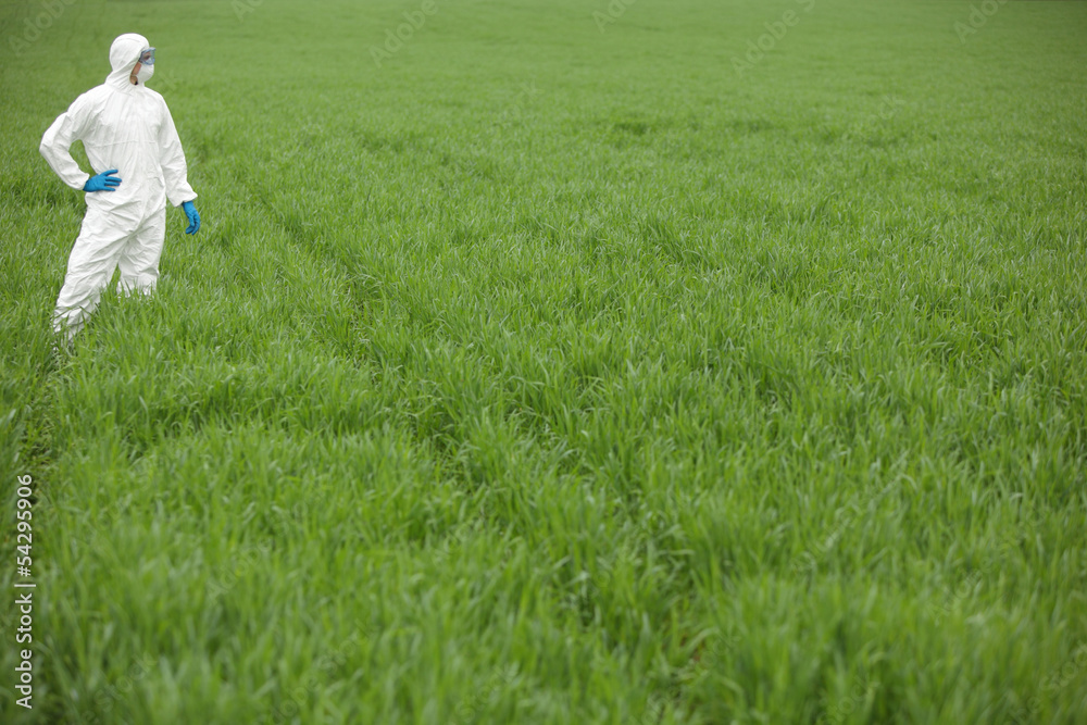 biotechnology engineer on field of genetically modified crops biotechnology engineer on field of genetically modified crops