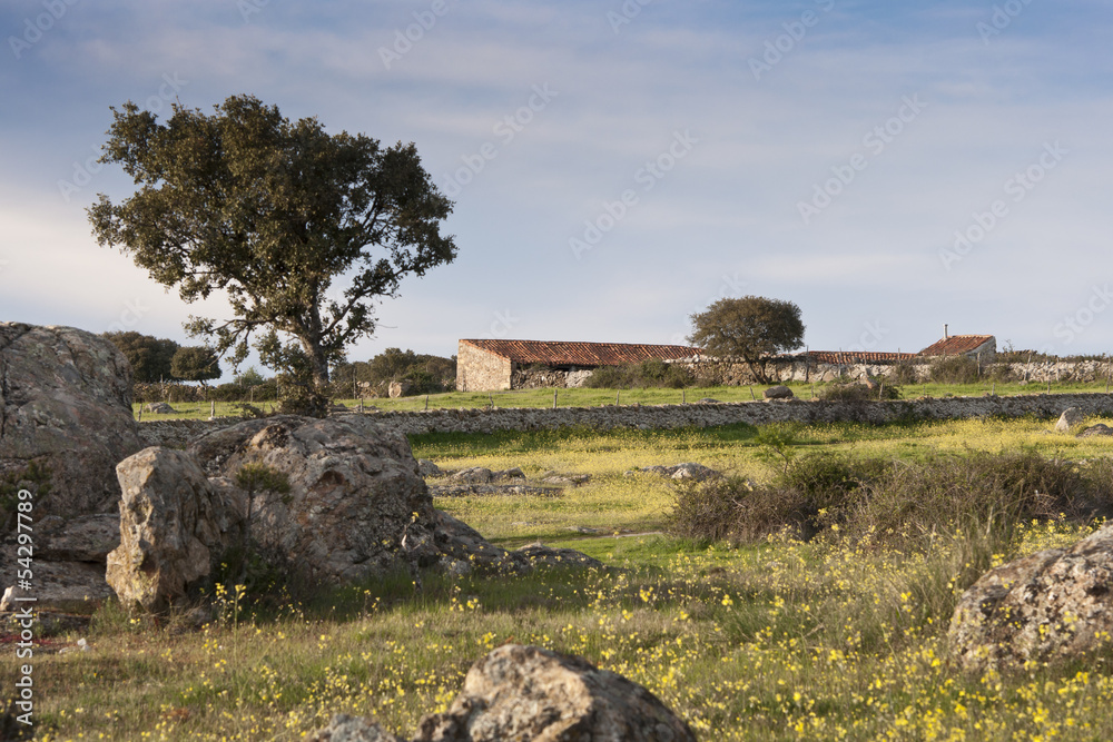 Fototapeta premium Farm house in Colmenar Viejo, Madrid, Spain