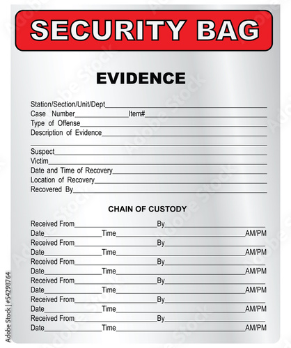 Security bag