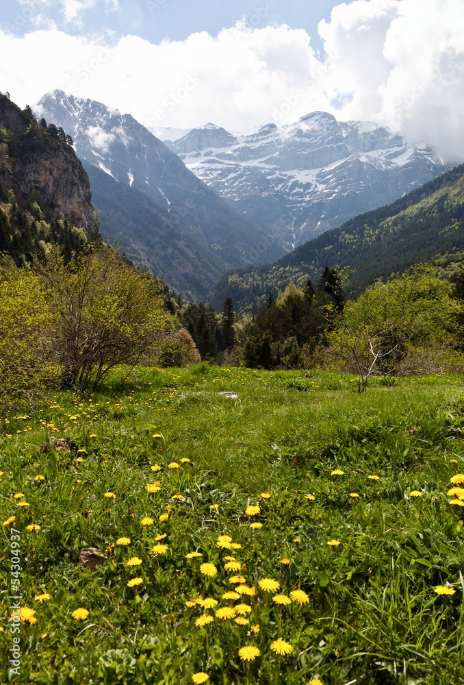 Fototapeta premium Paisaje de montaña