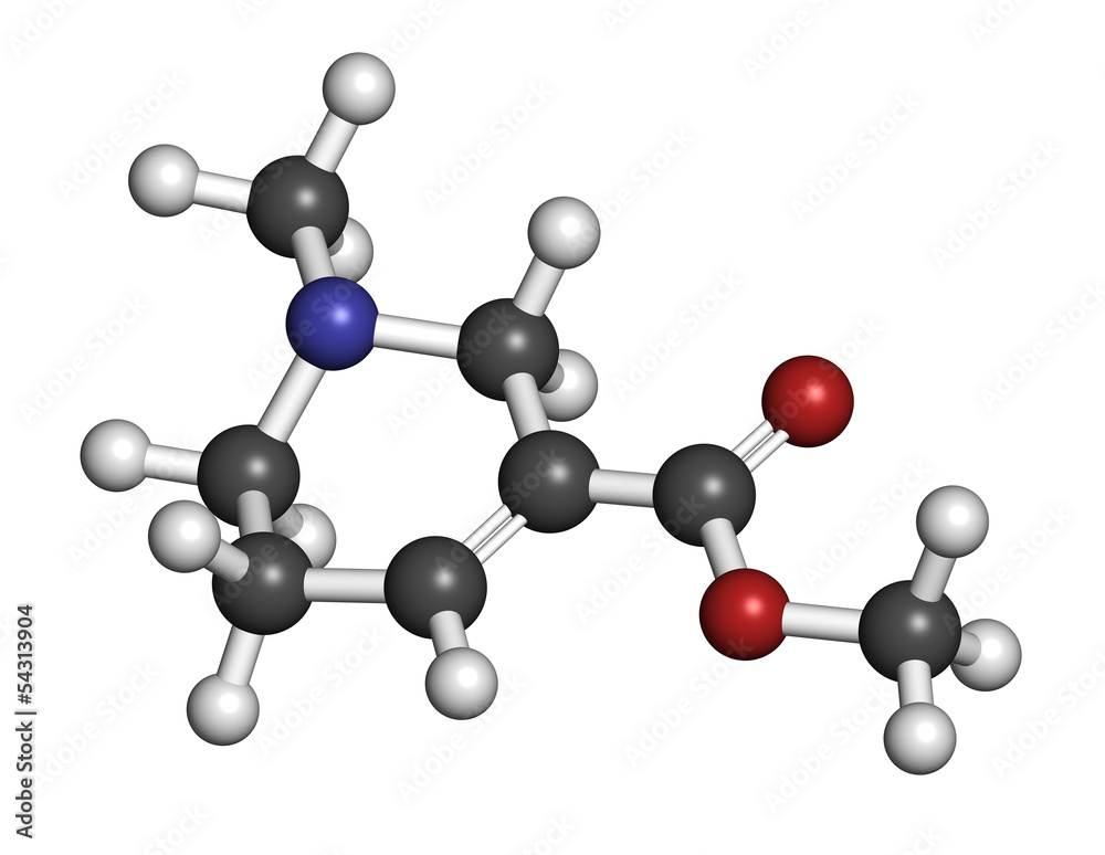 Arecoline areca nut stimulant compound, chemical structure. Arecoline areca nut stimulant compound, chemical structure.