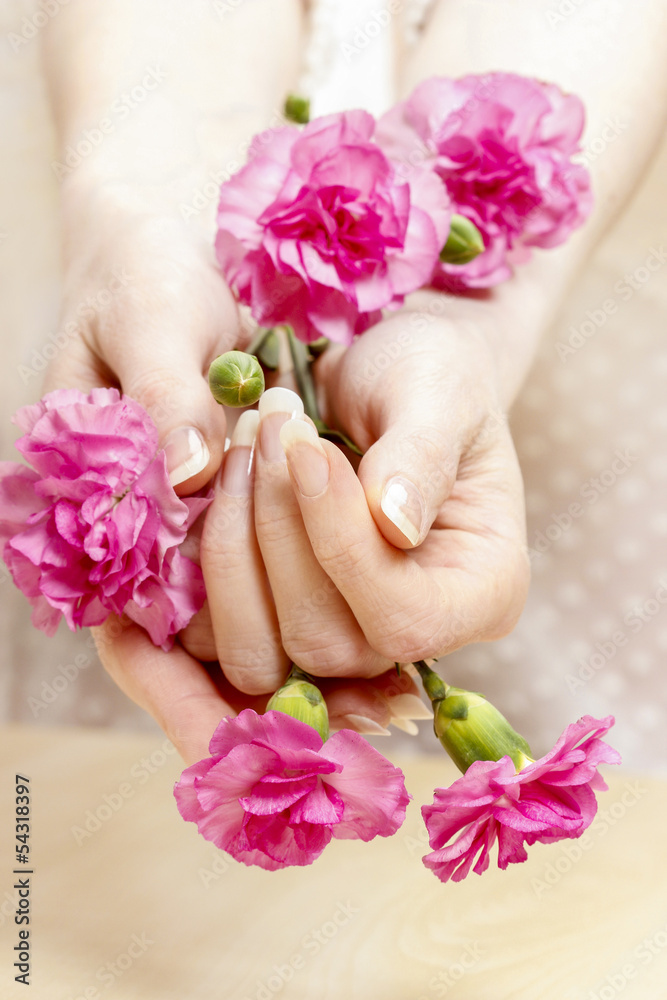 Fototapeta premium Pink carnation in beautiful hands. Perfect nails, french manicur