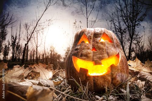 Halloween pumpkin in the forest photo