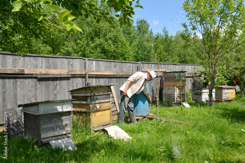 The beekeeper on an apiary