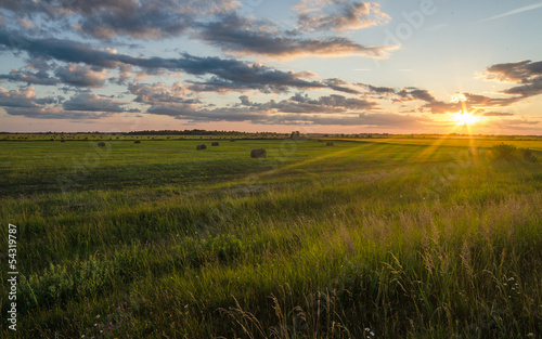 Hay in the field