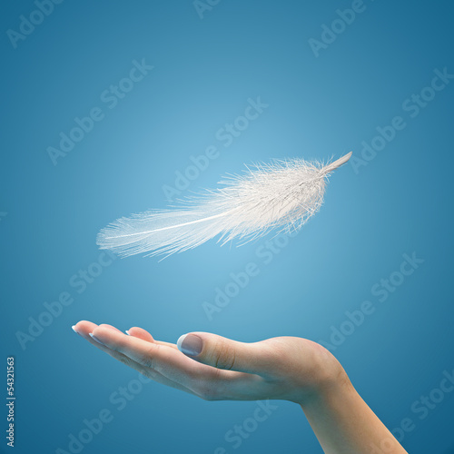 Easy feather in the air on the palm Fototapet