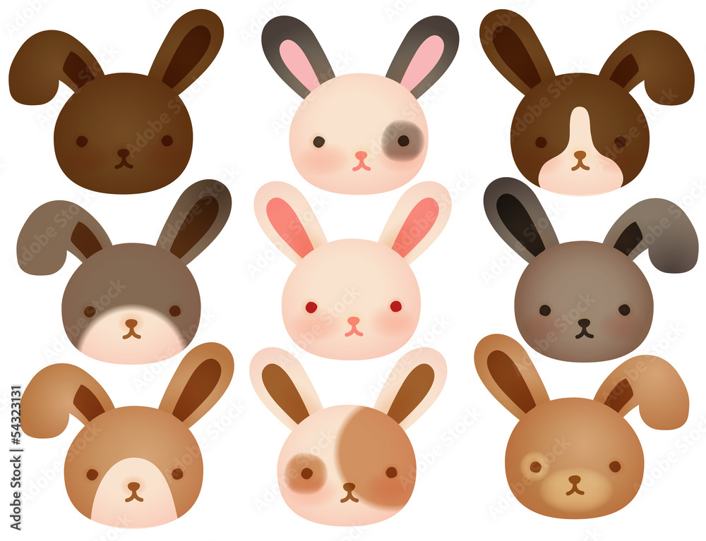 Fototapeta premium Collection of Cute rabbit