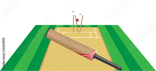 criket vector illustration