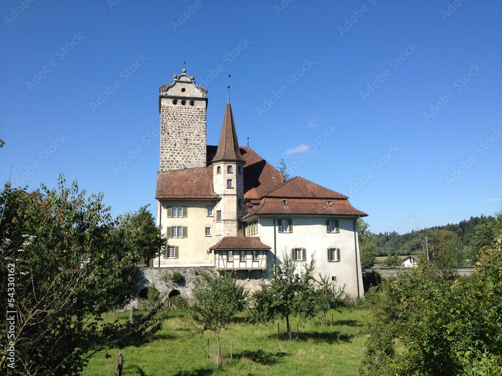 Fototapeta premium Scloss Aarwangen