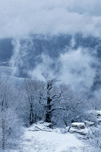 Snow storm at Demerdzhi mountain © Nickolay Khoroshkov