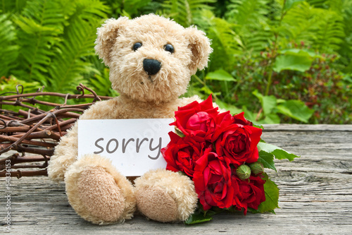 Canvas Print sorry