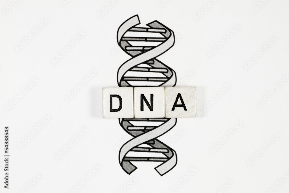 DNA StockFoto Adobe Stock