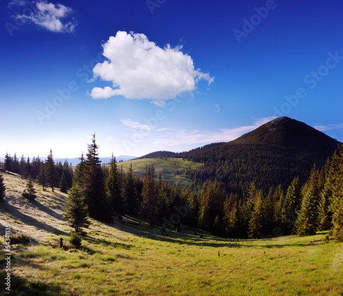 Landscape with mountain