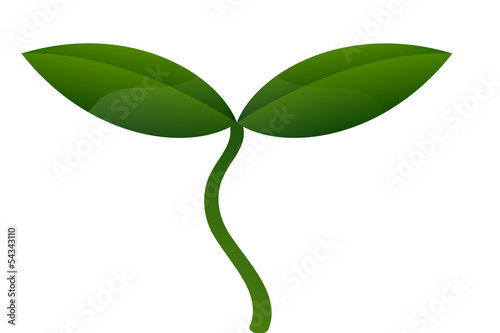 Very young plant vector