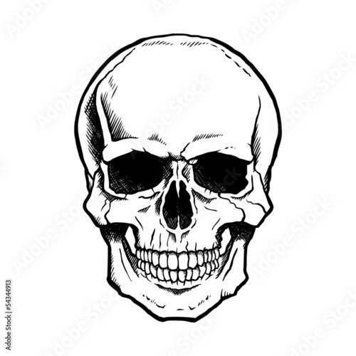 Black and white human skull with a lower jaw.