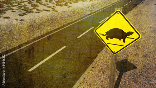 Tortoise Crossing Yield Sign in the Desert