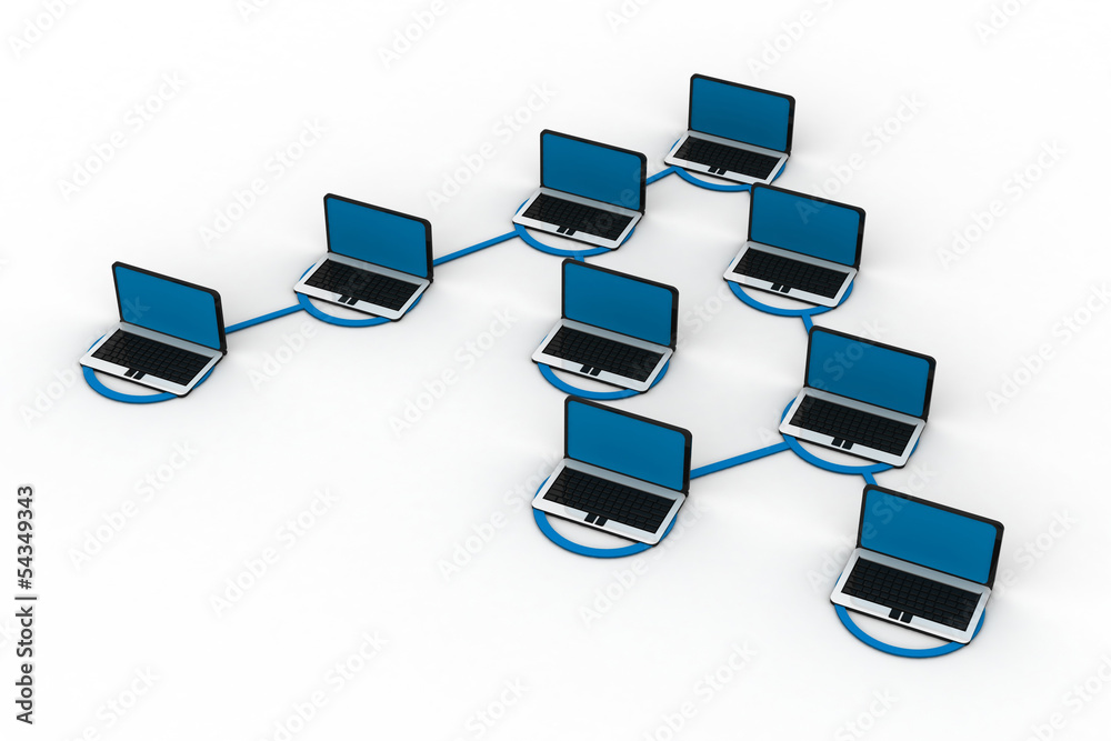The connected computers in a network The connected computers in a network