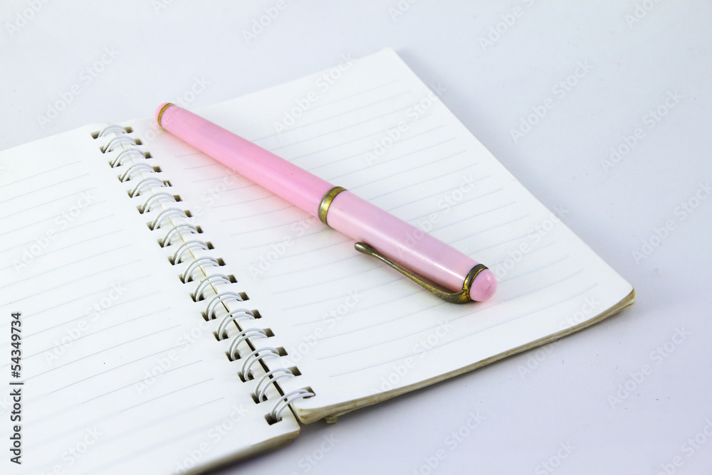 fountain pen and notebook fountain pen and notebook