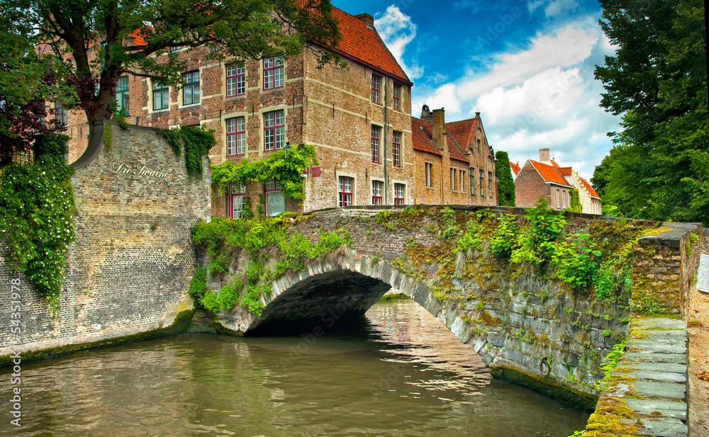 Fototapeta premium Domy wzdłuż kanałów w Brugii lub Brugii w Belgii