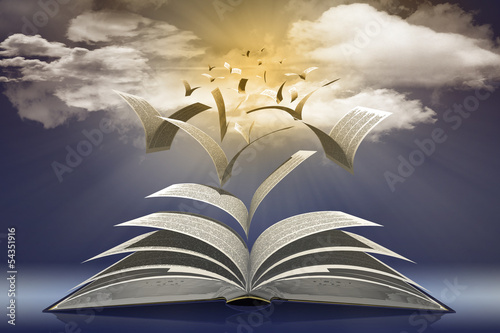 Quadro em tela Libro_002