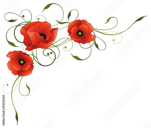 Sommer, Mohnblumen, Ranke, filigran