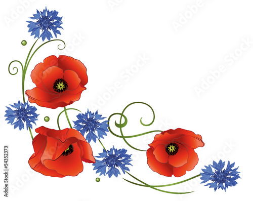 Sommer, Mohnblumen, Kornblumen, Ranke
