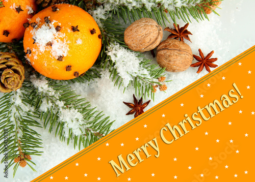 Christmas composition with oranges and fir tree, isolated