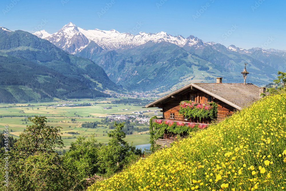 Traditional mountain farm in the Alps