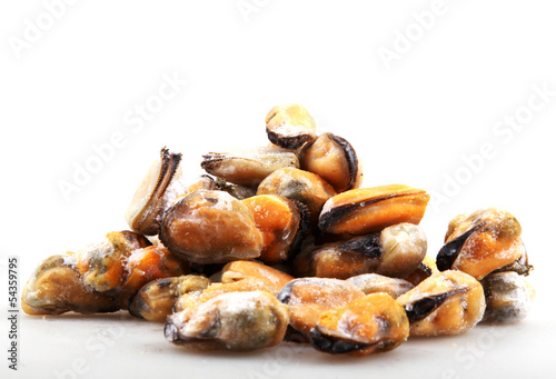 mussels 