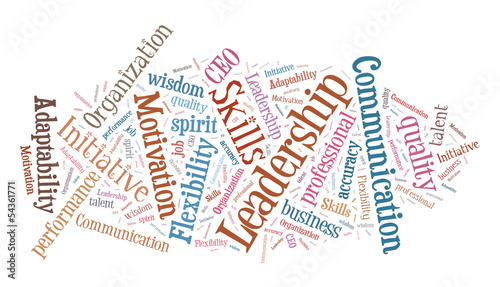 Business skills word cloud