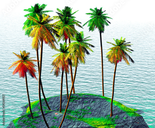 Coconut grove on tropical tiny island