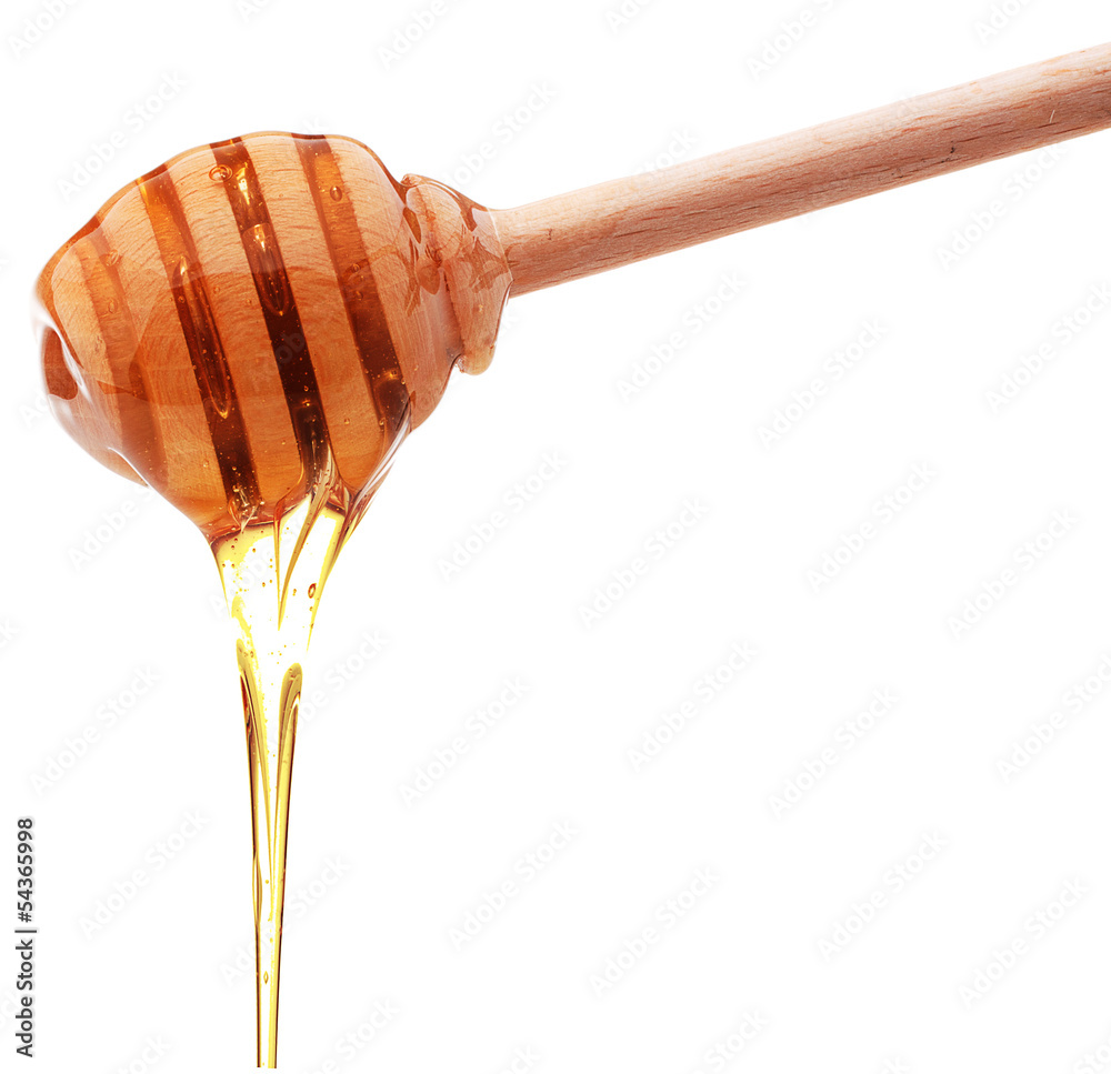 Honey dripping from a wooden honey dipper isolated on white back Honey dripping from a wooden honey dipper isolated on white back