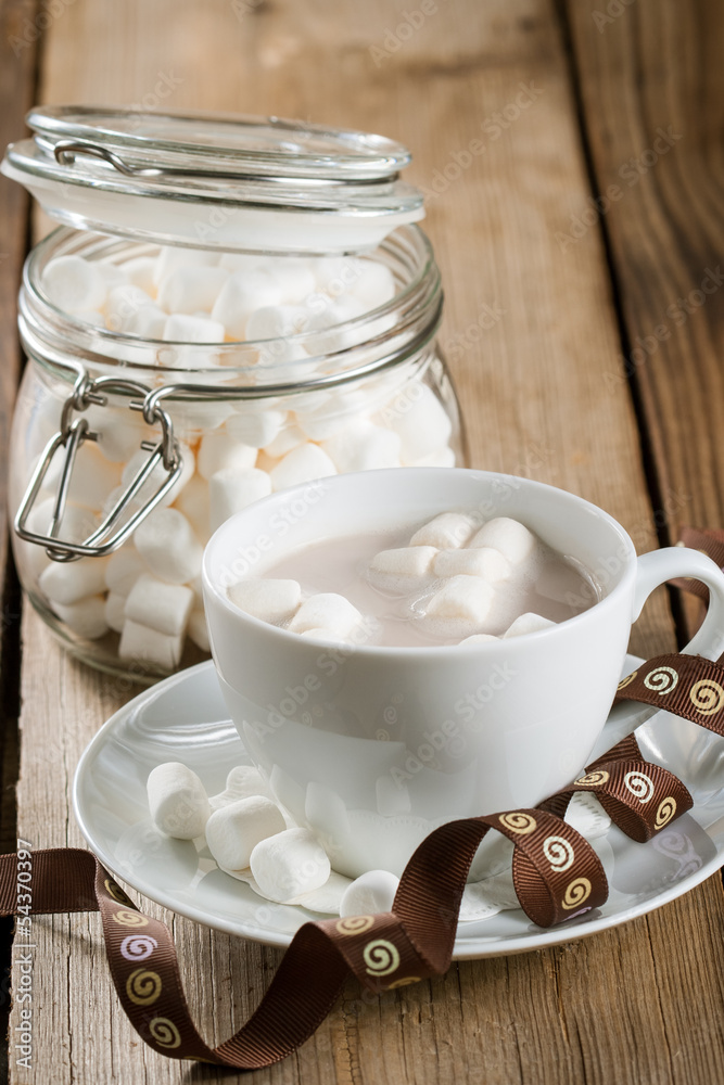 Cup of Hot Chocolate with marshmallows