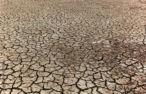 Terreno arido