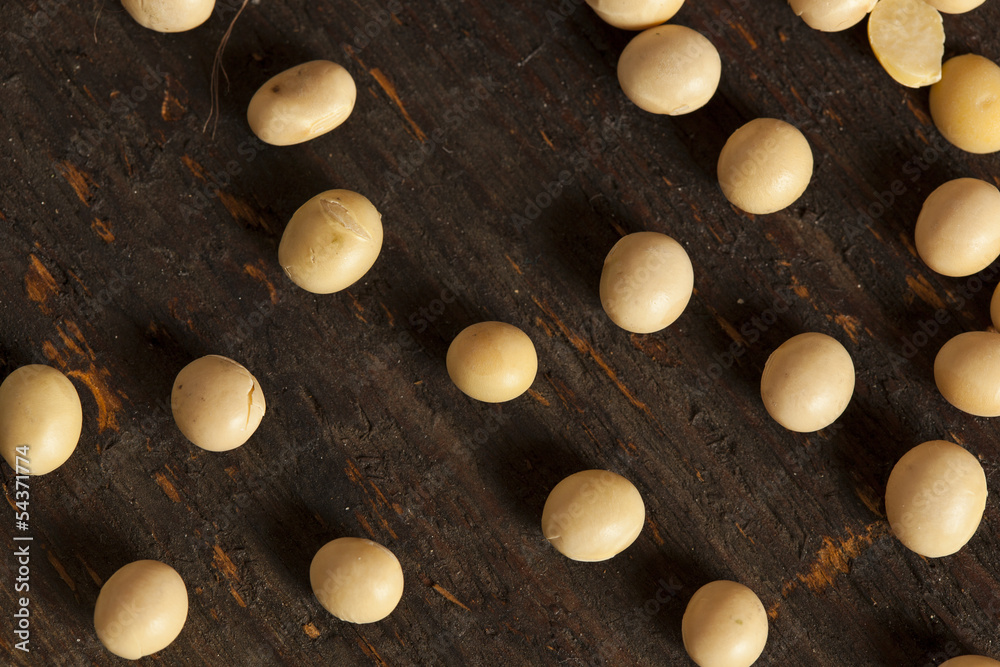 Organic Dry Soy Beans Organic Dry Soy Beans