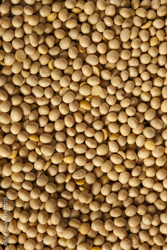 Organic Dry Soy Beans