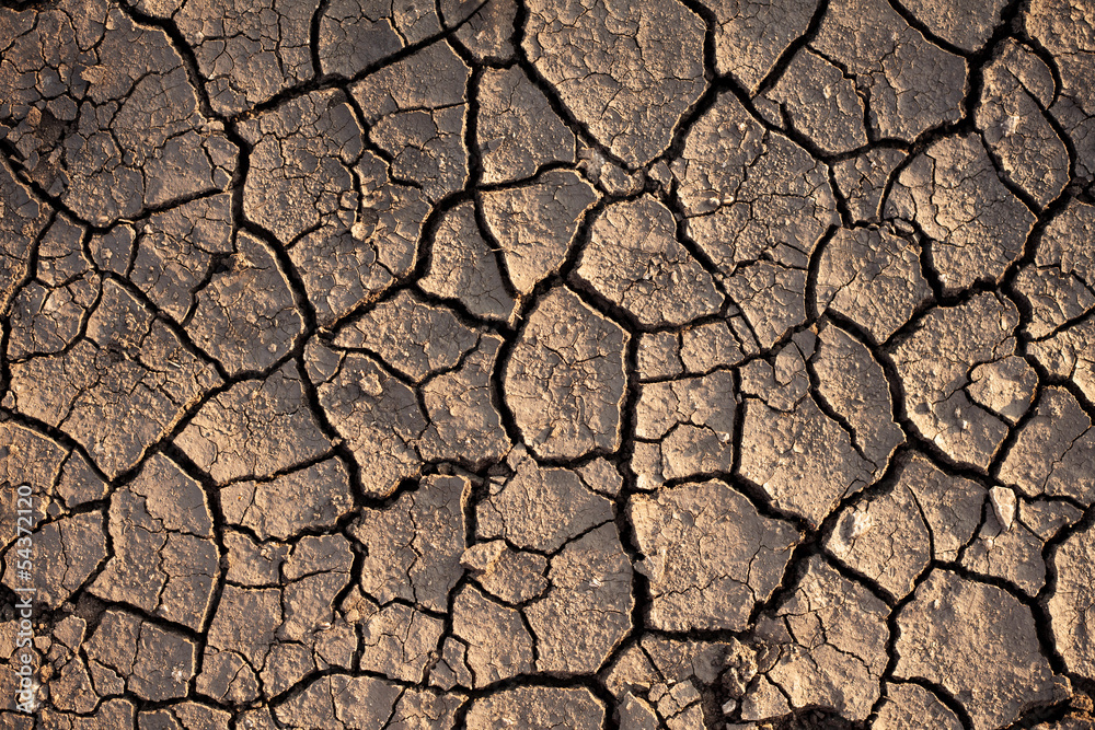Cracked Earth Cracked Earth